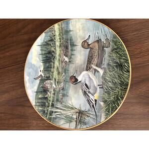 The Pintail Plate Bart Jerner 1986 Knowles Wildlife Ducks Limited Edition